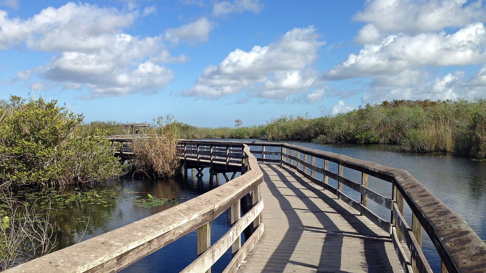 South Florida