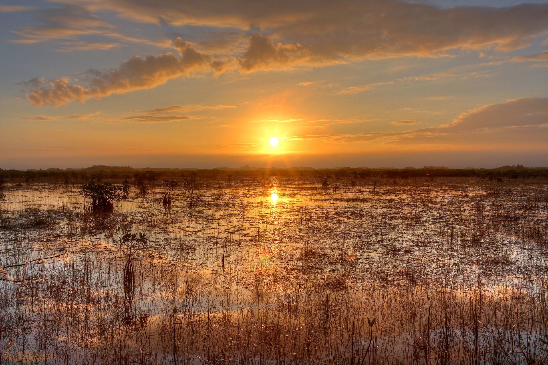 How to visit Everglades National Park from Miami