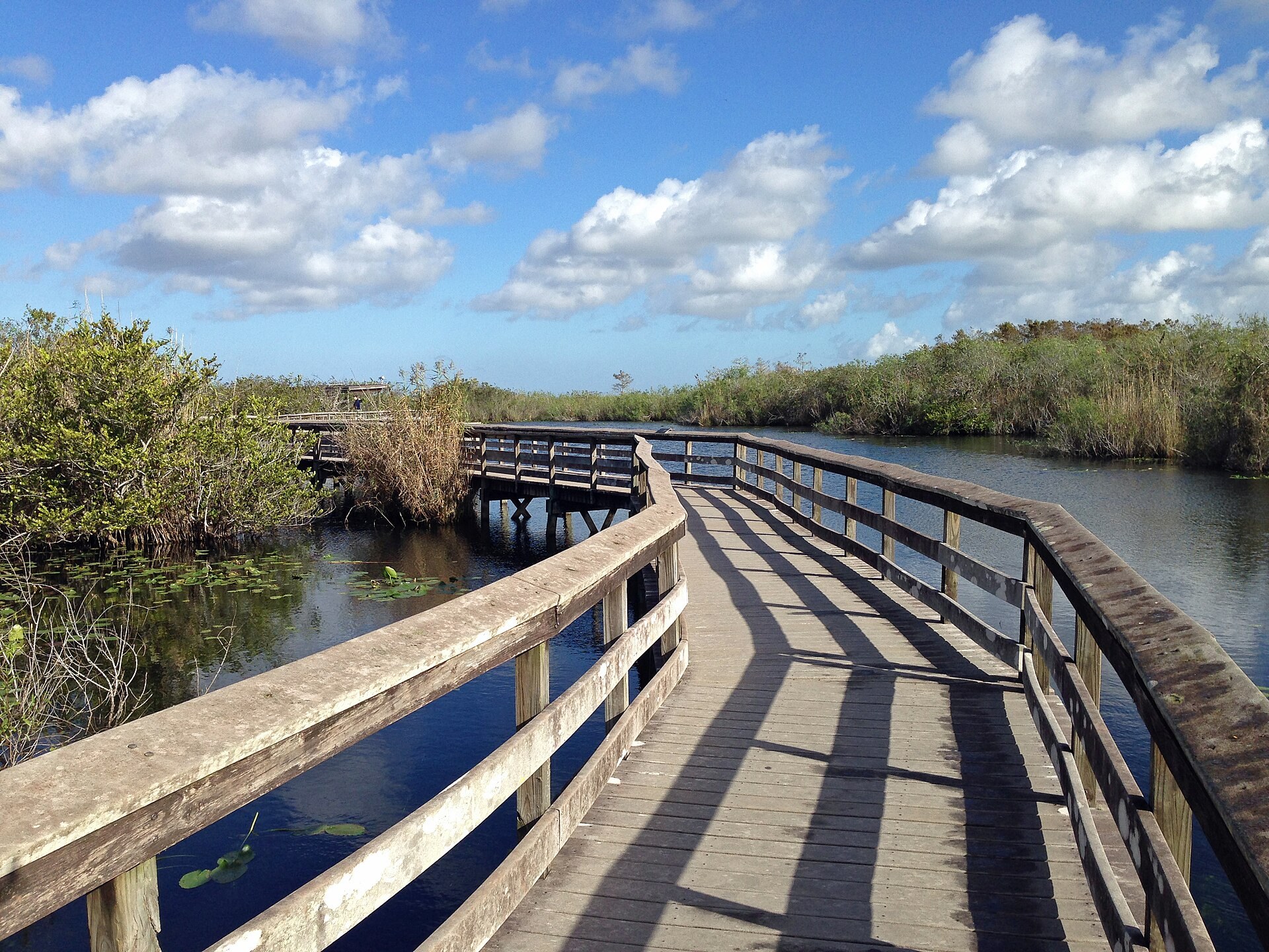 The boardwalk on the Anhinga Trail in Everglades National Park, Florida. (Anhinga Trail)