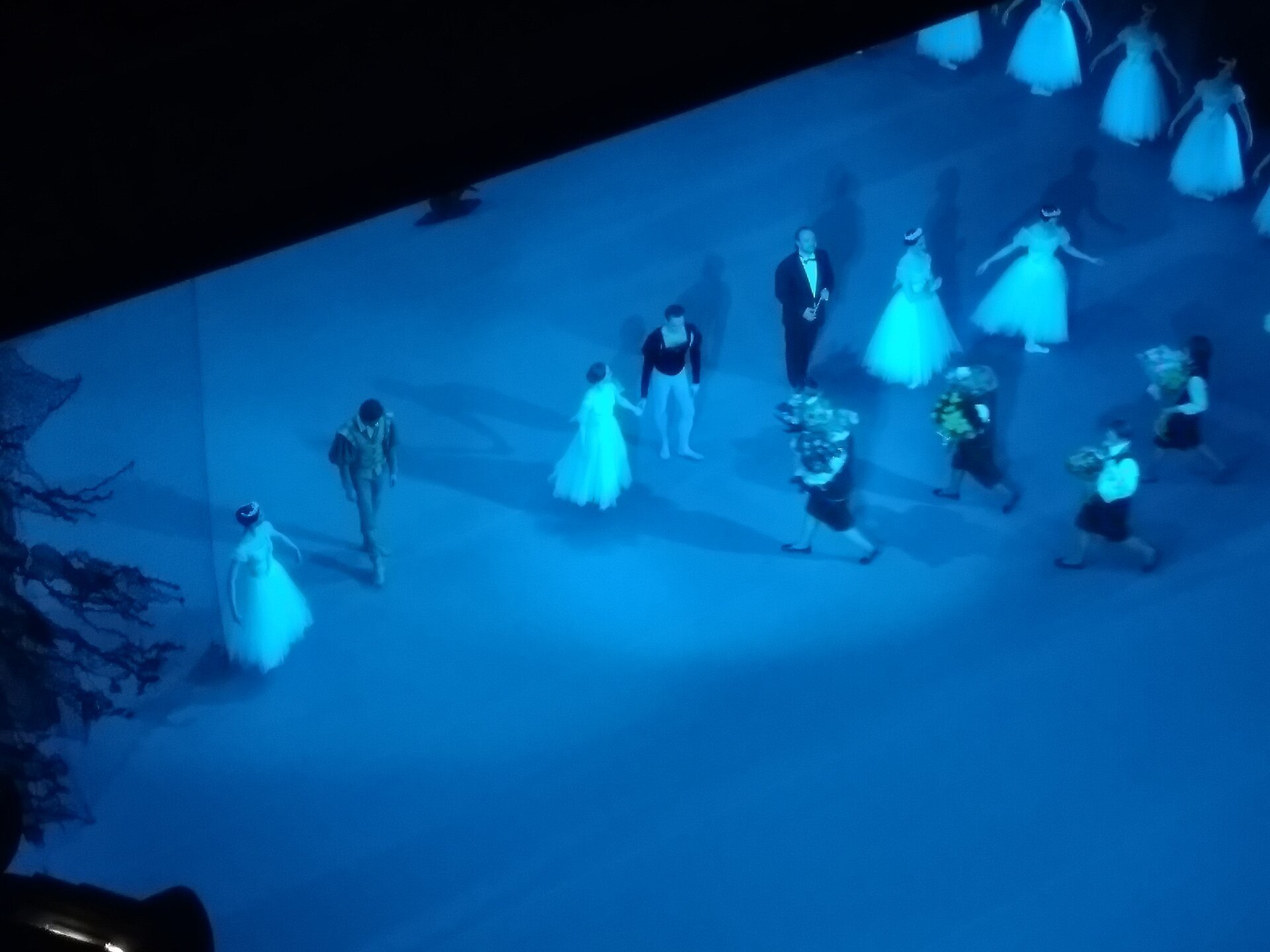 Giselle