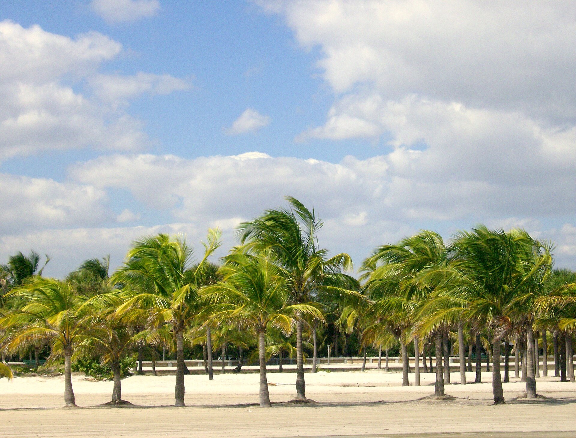 The best Miami beaches, ranked by locals